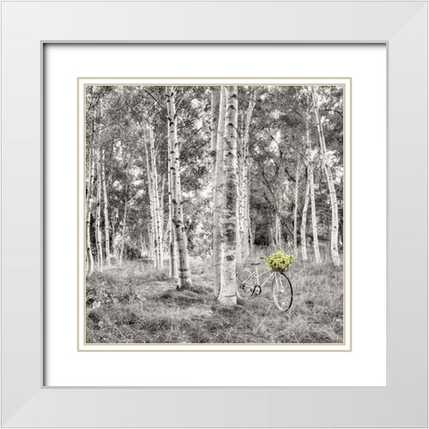 Sunflower Bicycle Ride White Modern Wood Framed Art Print with Double Matting by Blaustein, Alan