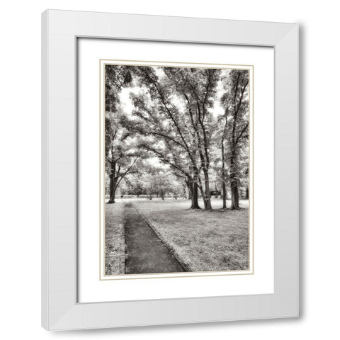 Garden Pathway No.1 White Modern Wood Framed Art Print with Double Matting by Blaustein, Alan