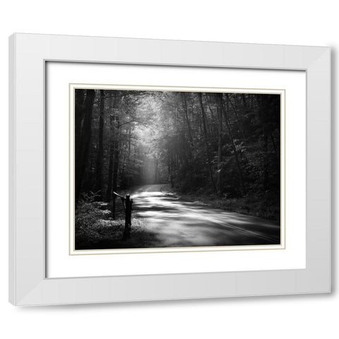 Tremont Road, Smoky Mountains White Modern Wood Framed Art Print with Double Matting by Bell, Nicholas