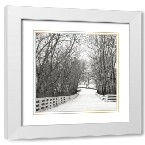 Country Lane in Winter White Modern Wood Framed Art Print with Double Matting by Bell, Nicholas