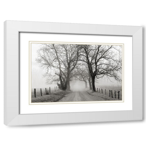 Sparks Lane, Late Autumn White Modern Wood Framed Art Print with Double Matting by Bell, Nicholas