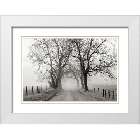 Sparks Lane, Late Autumn White Modern Wood Framed Art Print with Double Matting by Bell, Nicholas