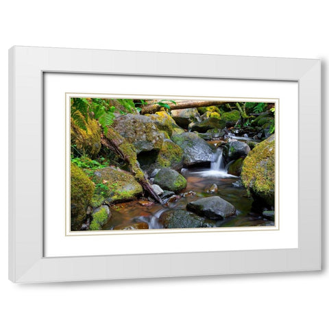 Mossy Stream White Modern Wood Framed Art Print with Double Matting by Broom, Michael