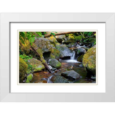Mossy Stream White Modern Wood Framed Art Print with Double Matting by Broom, Michael
