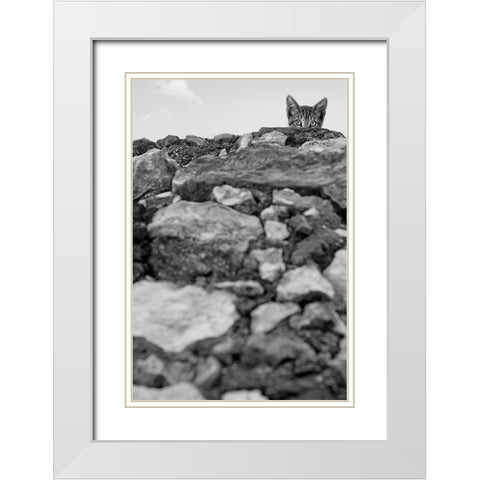 C est Moi! White Modern Wood Framed Art Print with Double Matting by Bertelli, Jon