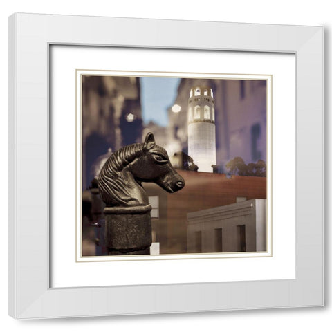 Barbary Coast 5 White Modern Wood Framed Art Print with Double Matting by Blaustein, Alan