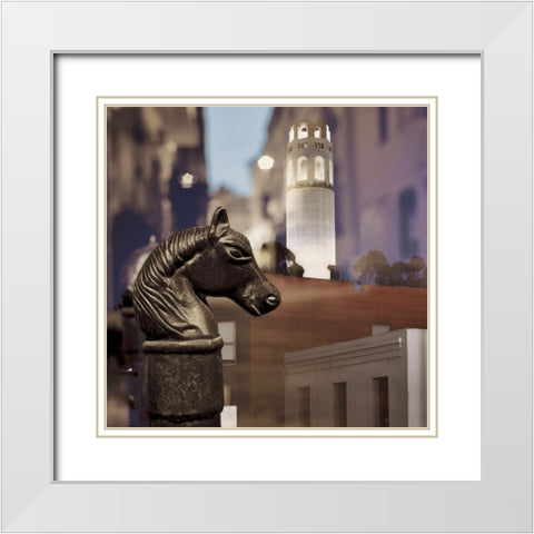 Barbary Coast 5 White Modern Wood Framed Art Print with Double Matting by Blaustein, Alan