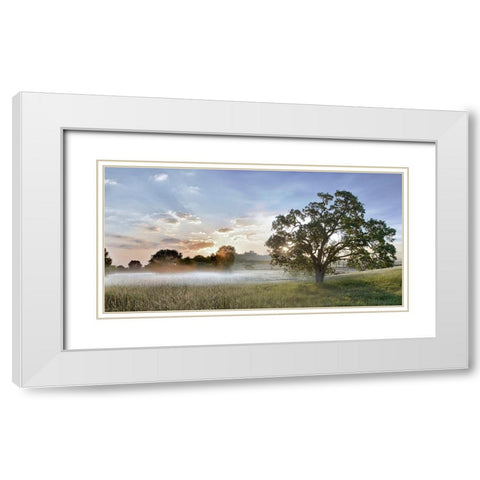 Sonoma Oak 3 White Modern Wood Framed Art Print with Double Matting by Blaustein, Alan