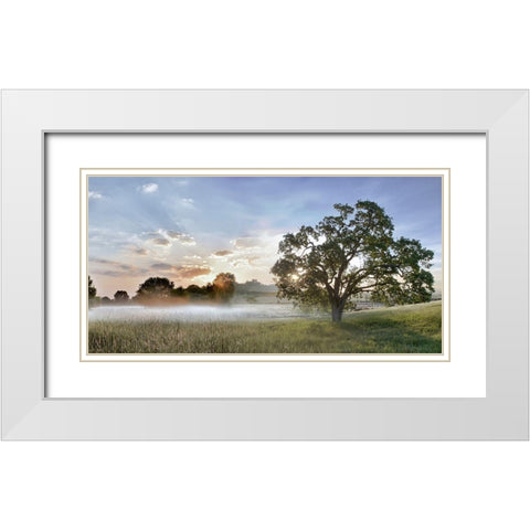 Sonoma Oak 3 White Modern Wood Framed Art Print with Double Matting by Blaustein, Alan