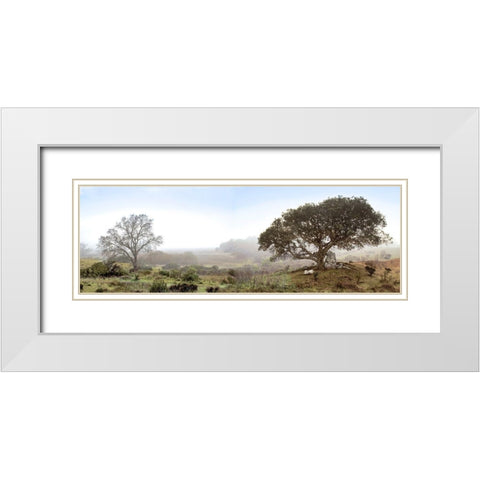 Sonoma Oak Trees No. 1 White Modern Wood Framed Art Print with Double Matting by Blaustein, Alan