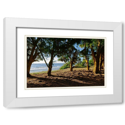 Ancient Family White Modern Wood Framed Art Print with Double Matting by Burdick, Chuck