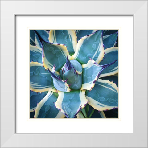 Elegant Thorns White Modern Wood Framed Art Print with Double Matting by Bell, Jan