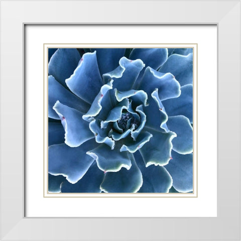 Ruffled Edges White Modern Wood Framed Art Print with Double Matting by Bell, Jan