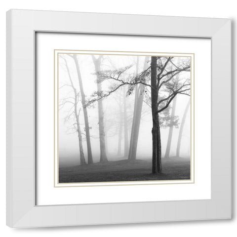 Ethereal Trees White Modern Wood Framed Art Print with Double Matting by Bell, Nicholas