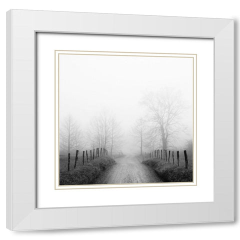 Sparks Lane in Fog White Modern Wood Framed Art Print with Double Matting by Bell, Nicholas
