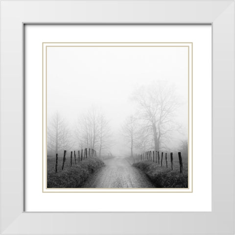 Sparks Lane in Fog White Modern Wood Framed Art Print with Double Matting by Bell, Nicholas