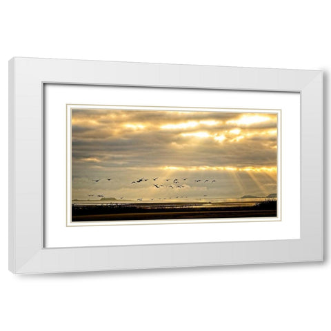 Sunrise on The Estuary White Modern Wood Framed Art Print with Double Matting by Burdick, Chuck