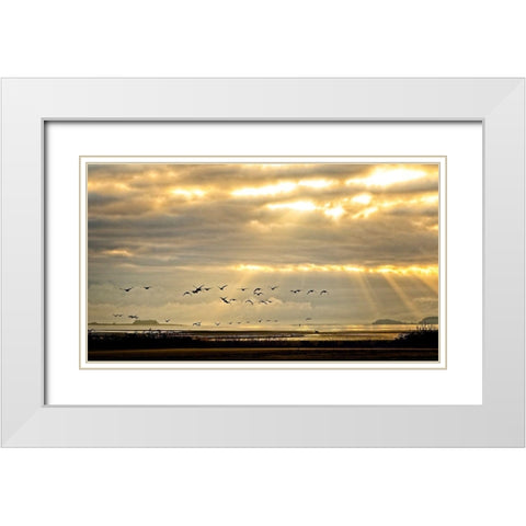 Sunrise on The Estuary White Modern Wood Framed Art Print with Double Matting by Burdick, Chuck