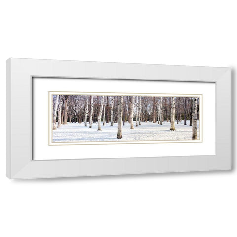 Hokkaido 4 White Modern Wood Framed Art Print with Double Matting by Blaustein, Alan