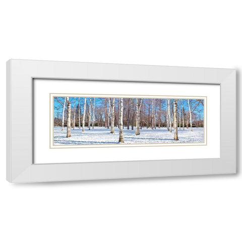 Hokkaido 1 White Modern Wood Framed Art Print with Double Matting by Blaustein, Alan
