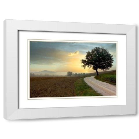 Tuscan Farm Road #1 White Modern Wood Framed Art Print with Double Matting by Blaustein, Alan