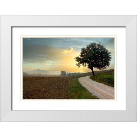 Tuscan Farm Road #1 White Modern Wood Framed Art Print with Double Matting by Blaustein, Alan