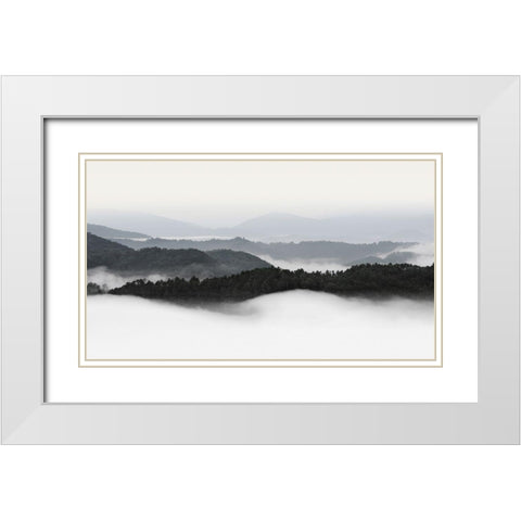 Rolling Fog, Smoky Mountains No. 2 White Modern Wood Framed Art Print with Double Matting by Bell, Nicholas
