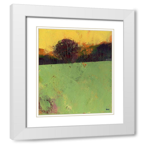Sundew White Modern Wood Framed Art Print with Double Matting by Bailey, Paul