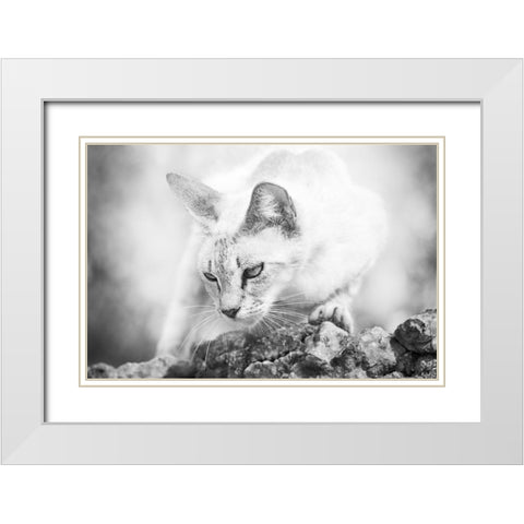 The Heart of a Lion White Modern Wood Framed Art Print with Double Matting by Bertelli, Jon