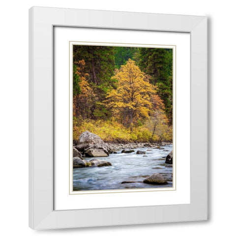 Autumn Across The River White Modern Wood Framed Art Print with Double Matting by Broom, Michael