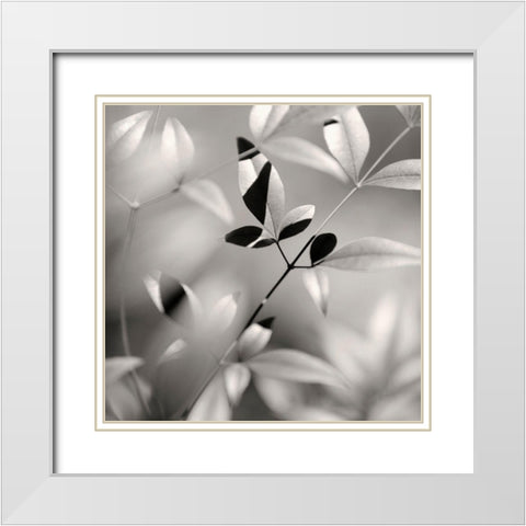 Botanical Study No. 5 White Modern Wood Framed Art Print with Double Matting by Bell, Nicholas