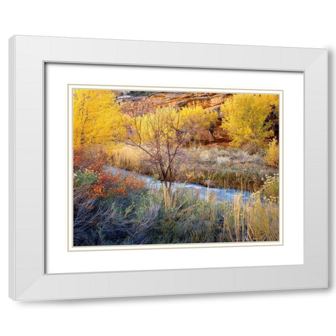 Autumn Chaos Along The Fremont White Modern Wood Framed Art Print with Double Matting by Becia, Jim