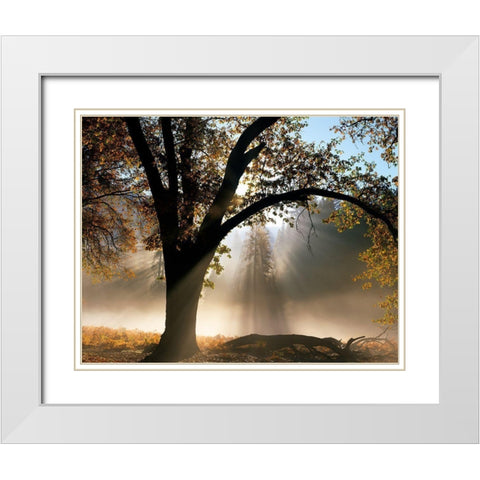 Sunrays Through the Fog White Modern Wood Framed Art Print with Double Matting by Becia, Jim