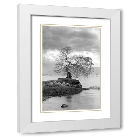 Coastal Oak Series No. 1 White Modern Wood Framed Art Print with Double Matting by Blaustein, Alan