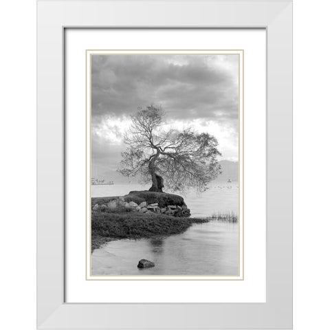 Coastal Oak Series No. 1 White Modern Wood Framed Art Print with Double Matting by Blaustein, Alan