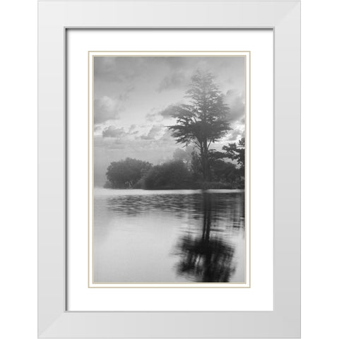 Coastal Oak Series No. 34 White Modern Wood Framed Art Print with Double Matting by Blaustein, Alan