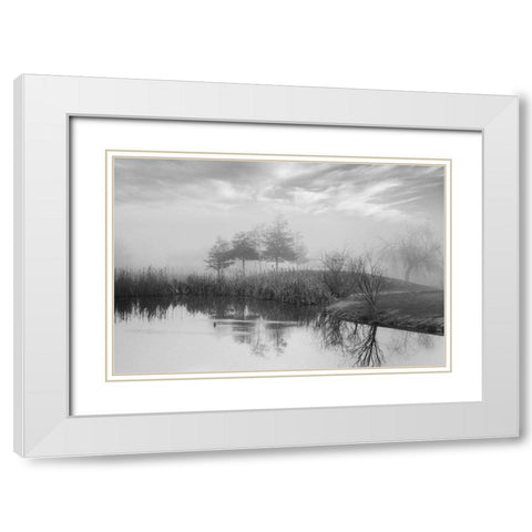 Coastal Oak Series No. 43 White Modern Wood Framed Art Print with Double Matting by Blaustein, Alan