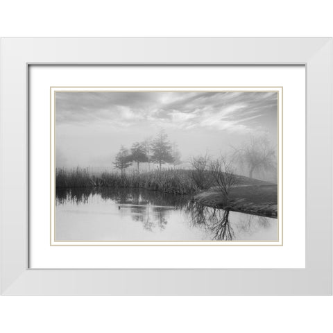 Coastal Oak Series No. 43 White Modern Wood Framed Art Print with Double Matting by Blaustein, Alan