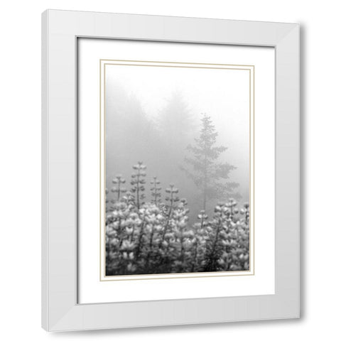 Coastal Oak Series No. 53 White Modern Wood Framed Art Print with Double Matting by Blaustein, Alan