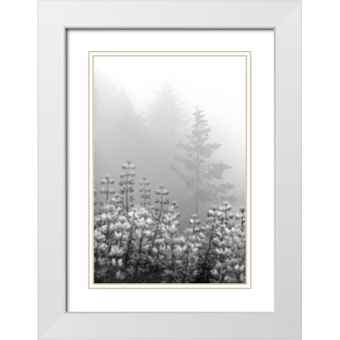 Coastal Oak Series No. 53 White Modern Wood Framed Art Print with Double Matting by Blaustein, Alan