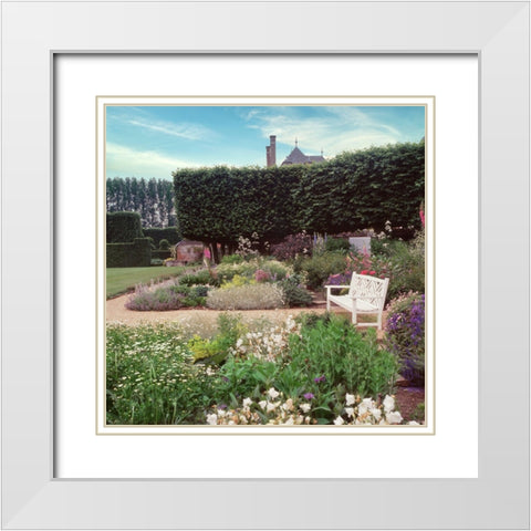 French Jardin No. 27 White Modern Wood Framed Art Print with Double Matting by Blaustein, Alan