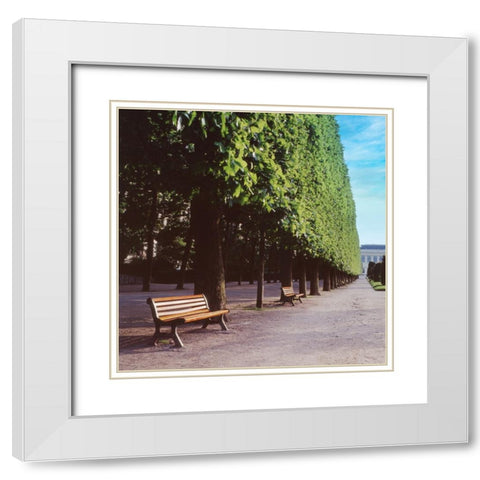 French Jardin No. 9 White Modern Wood Framed Art Print with Double Matting by Blaustein, Alan