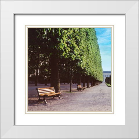 French Jardin No. 9 White Modern Wood Framed Art Print with Double Matting by Blaustein, Alan