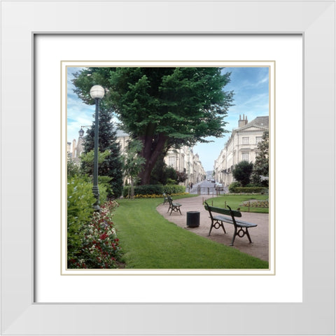 French Jardin No. 14 White Modern Wood Framed Art Print with Double Matting by Blaustein, Alan