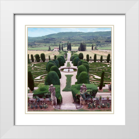 Italia Gardens No. 12 White Modern Wood Framed Art Print with Double Matting by Blaustein, Alan