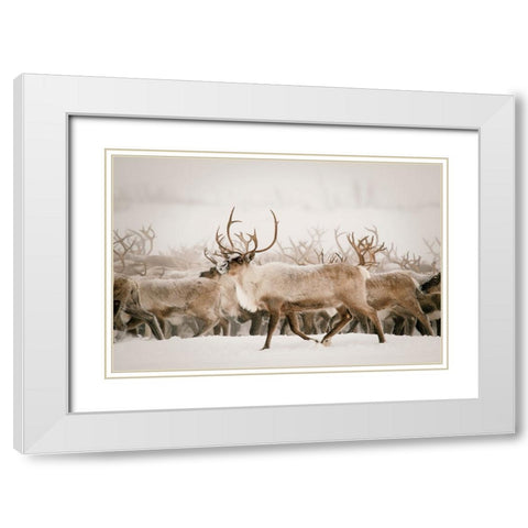 Firth White Modern Wood Framed Art Print with Double Matting by Broadway, Krista
