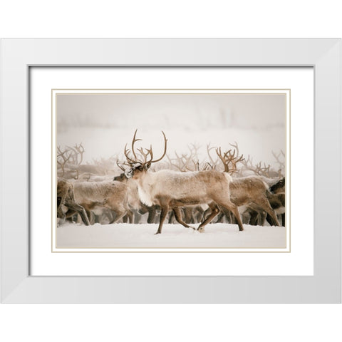 Firth White Modern Wood Framed Art Print with Double Matting by Broadway, Krista