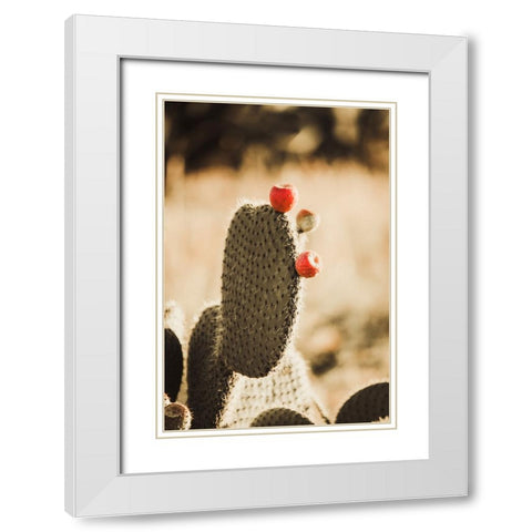 Habana White Modern Wood Framed Art Print with Double Matting by Broadway, Krista