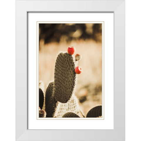 Habana White Modern Wood Framed Art Print with Double Matting by Broadway, Krista