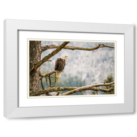 Trail White Modern Wood Framed Art Print with Double Matting by Broadway, Krista